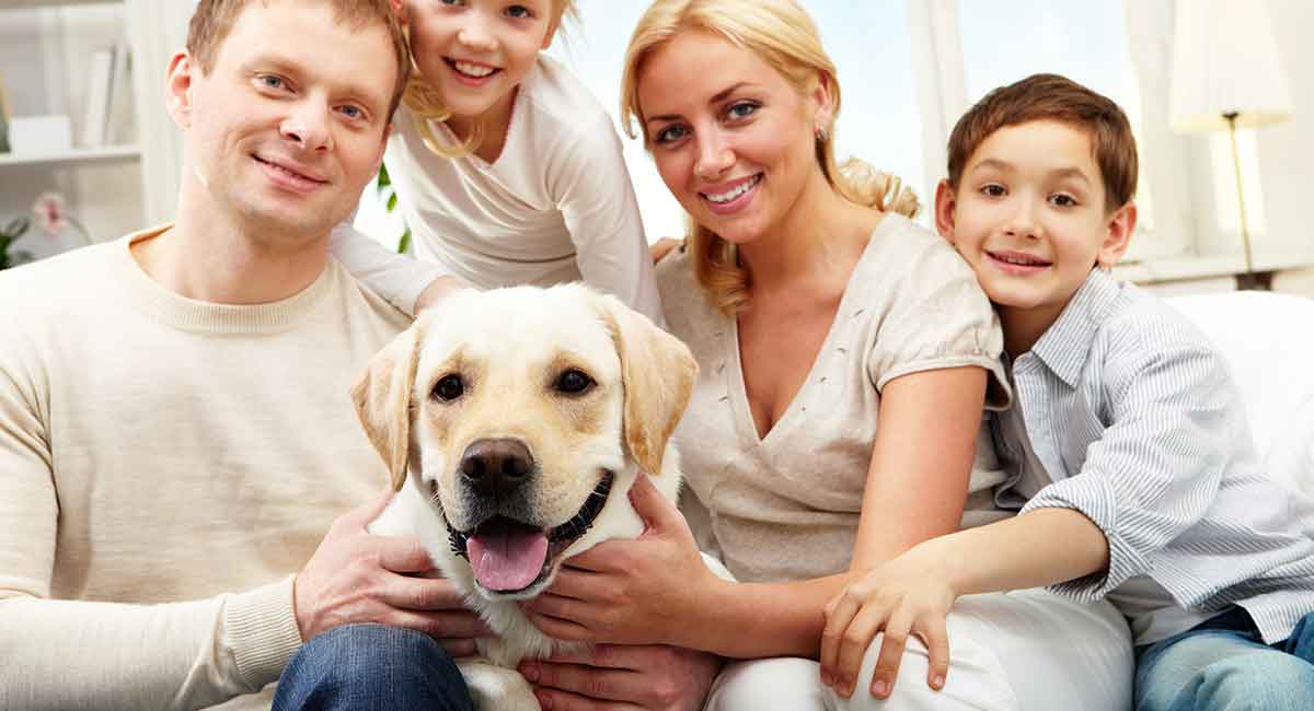 About Us Dog and the Family, Privacy Policy
